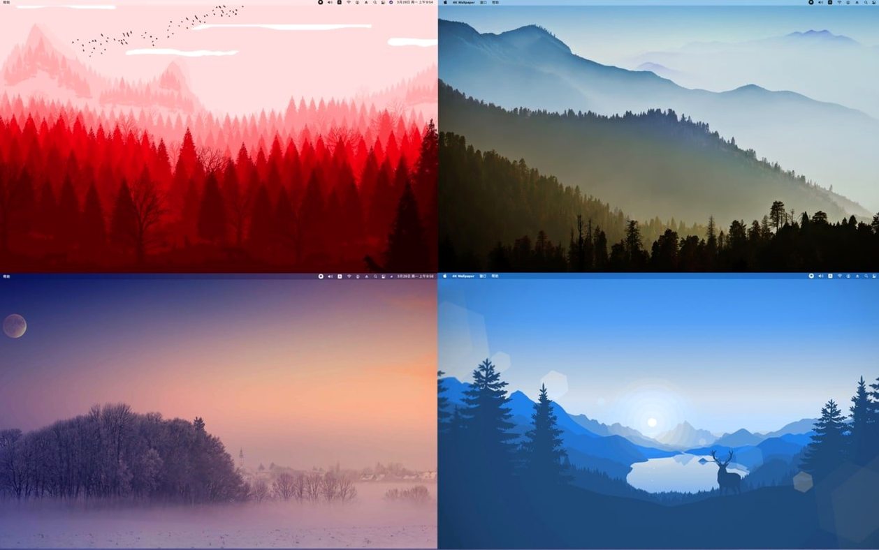 4K Wallpaper - HD Wallpapers — picture 3 4K Wallpaper - HD Wallpapers settings, screen 3