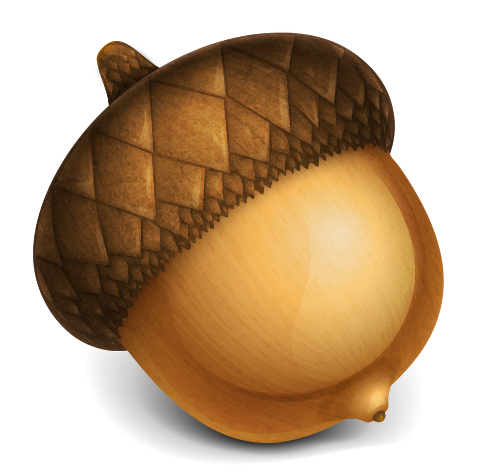 Acorn icon image