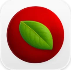 Lingon 10 icon image