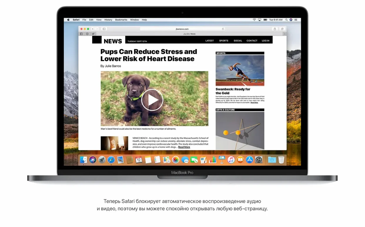 macOS High Sierra preview image 2 macOS High Sierra editor, view 2