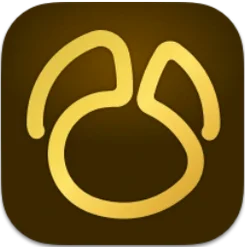 Navicat Premium 17.3.12 icon